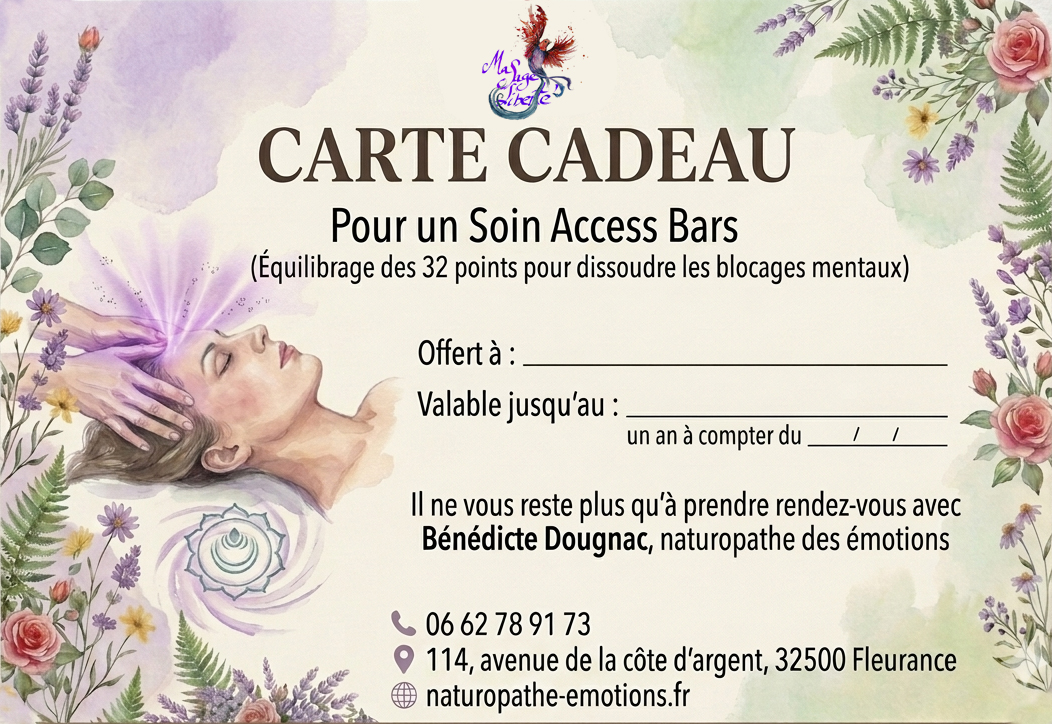 cartecadeauaccessbars_ok