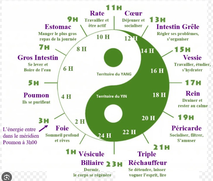 Yin et Yang, cinq mouvements : comprendre la lecture chinoise de l&rsquo;énergie